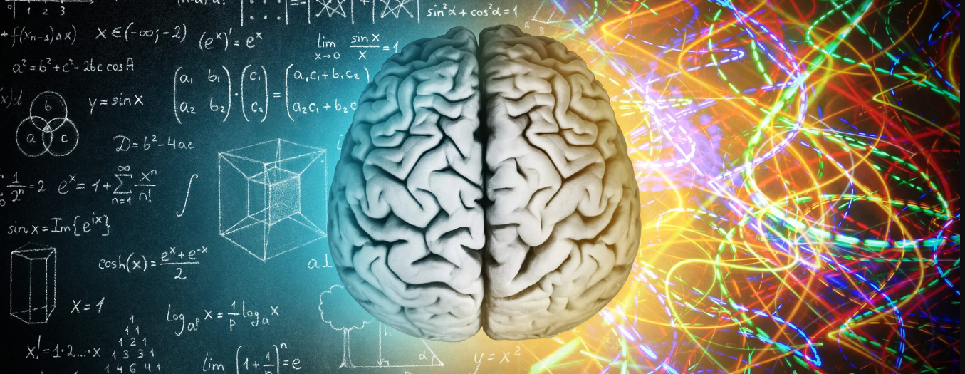 Brain Club™: February 2025 Conflicting Access Needs